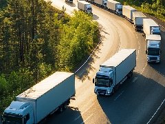 有哪些原因容易导致中亚五国客户弃货或退运？