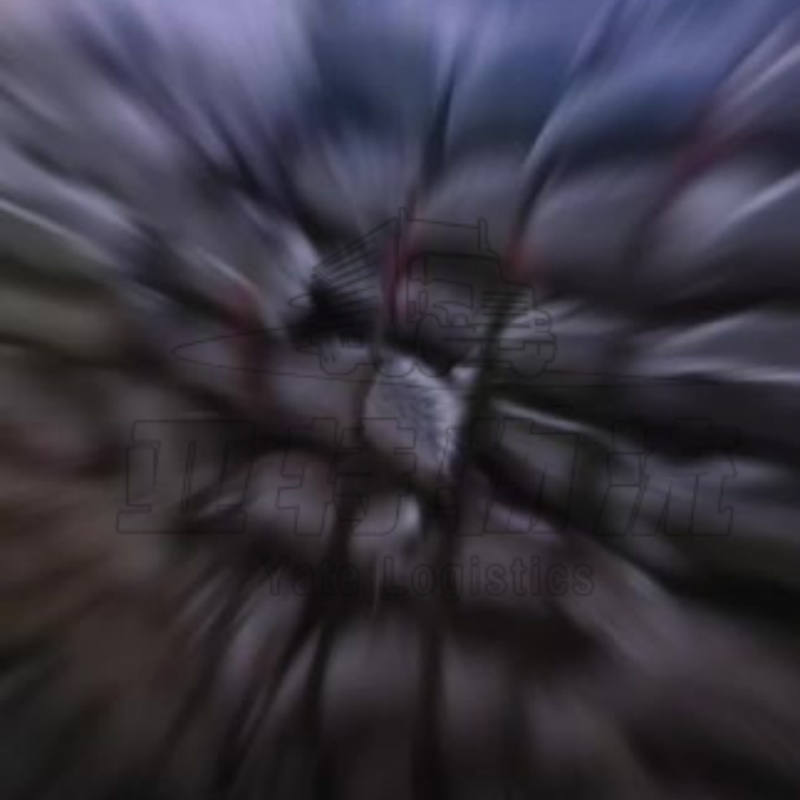 贾拉拉巴德汽运整柜