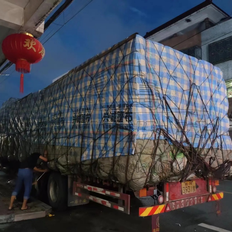 吉尔吉斯斯坦货运代理公司